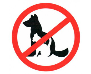 С животными вход запрещен 150х150, Информационный знак