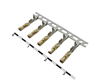 BLS(BLD) pitch 2,54mm контакты, Разъем