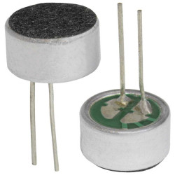 DG09745CD(-P), Микрофон
