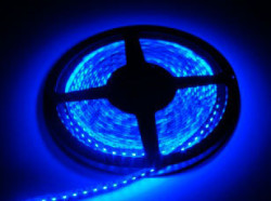 Лента светодиодная 5050 Ecola 10мм 60 св./м 12В 14.4Вт IP20, Ecola LED strip PRO синий (за метр)