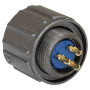 Миниатюра 3