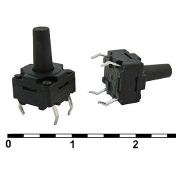 WS88125-250AH, Кнопка тактовая